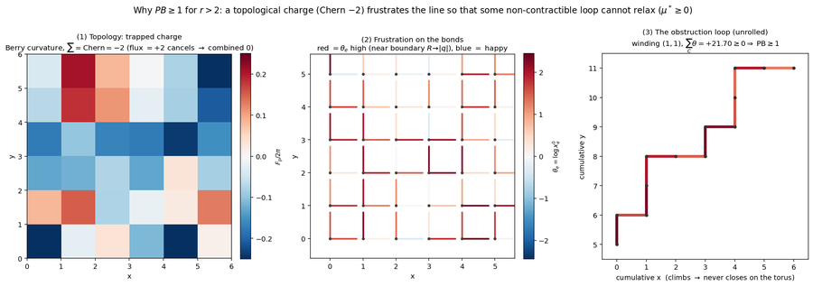 Trapped topological charge frustrating a loop on the torus so it cannot relax to zero.